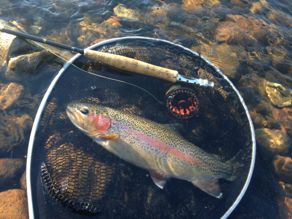 A nice Tumut rainbow.