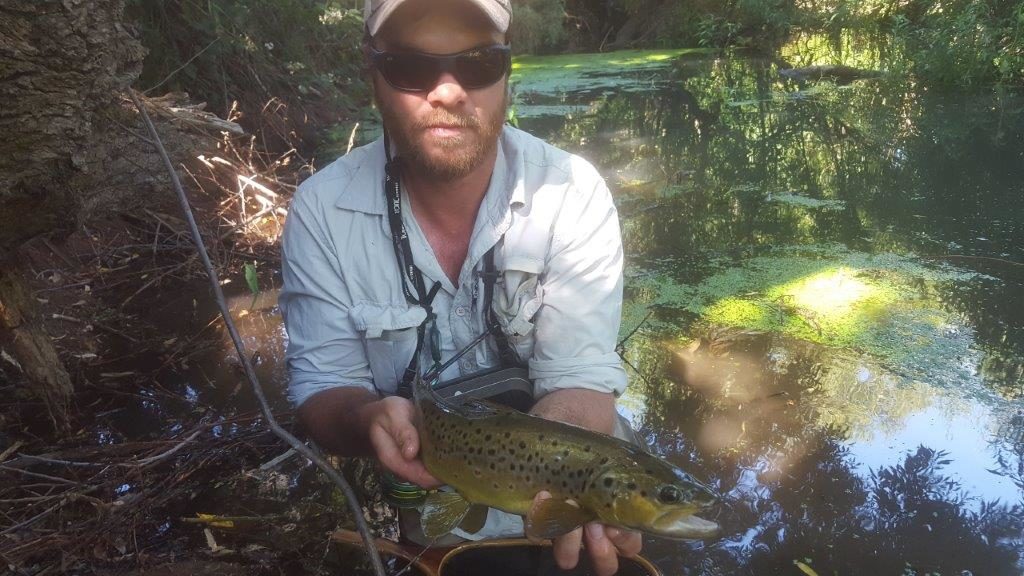 Backwater brownie.
