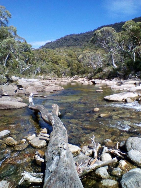 The Snowy above Isaland Bend at low (environmental) flow.