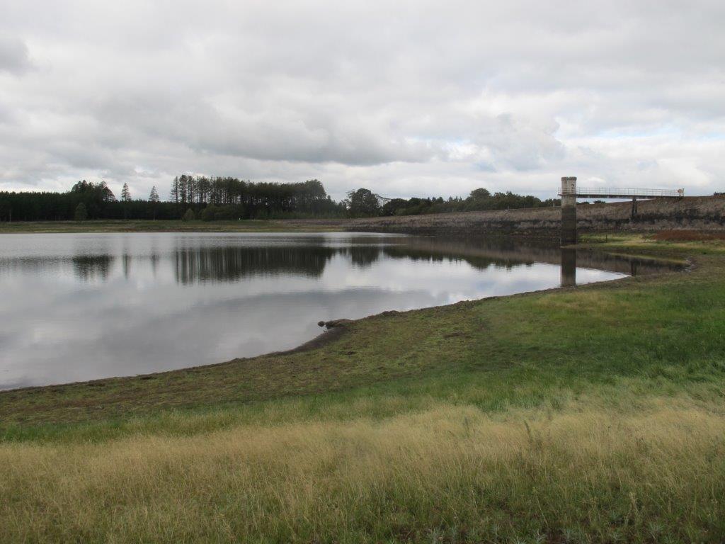 Moorabool Reservoir is low, but it's held enough water to sustain trout over summer. A few central & west Victorian lakes weren't so lucky, so choose carefully!