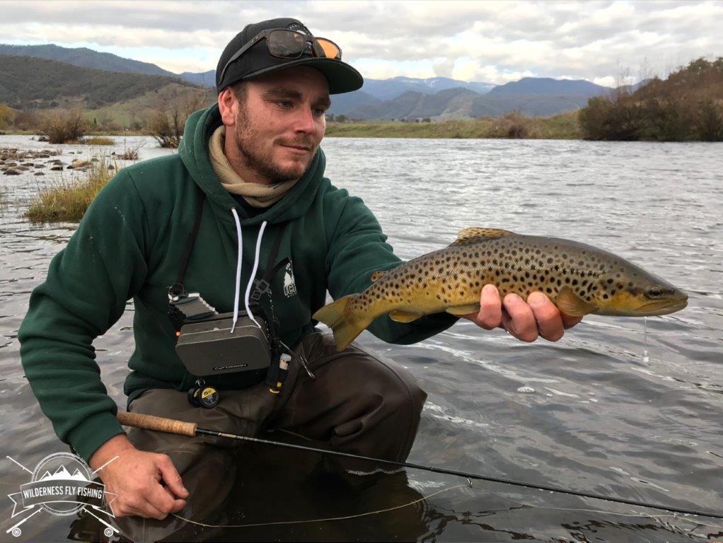 One of many fish from two great sessions on the Swampy.