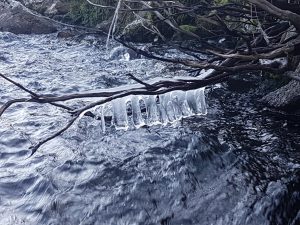 Ice