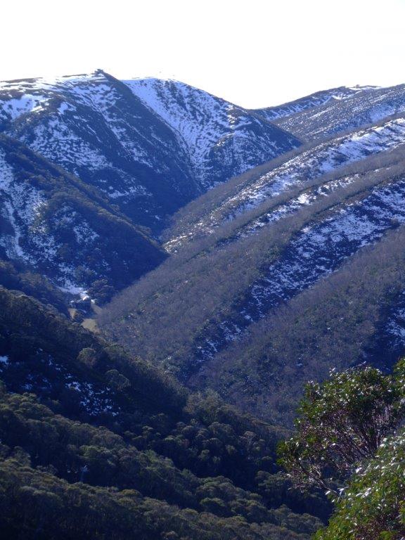 Early May snow in the Cobungra catchment. Once snow arrives water temps really start to plummet and the catchments with snow are best avoided.