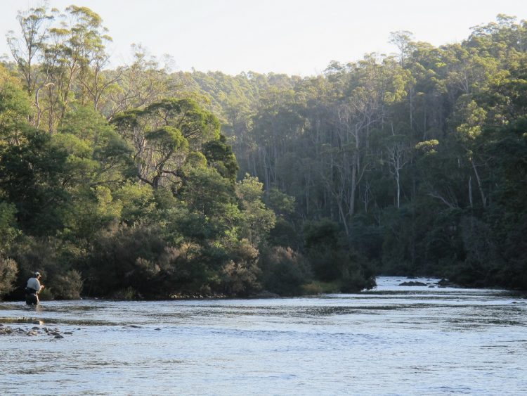 Slower water on the Mersey River, Tasmania. 