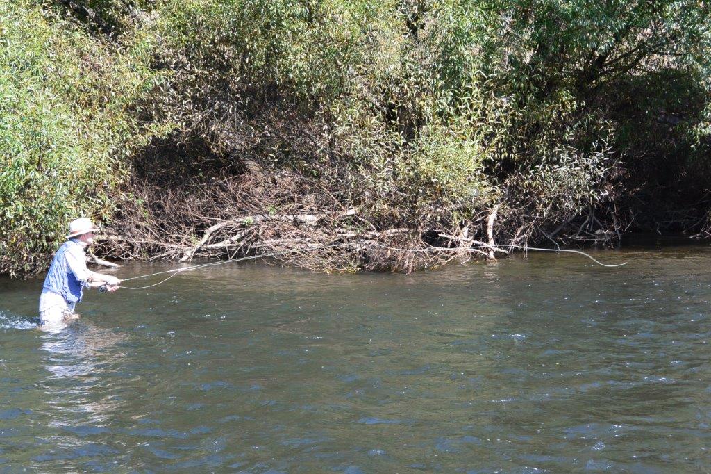 Crossing to the 'uncomfortable' side on the Mitta puts the angler near cover. This side produced three nice fish. The opposite easy bank? None.