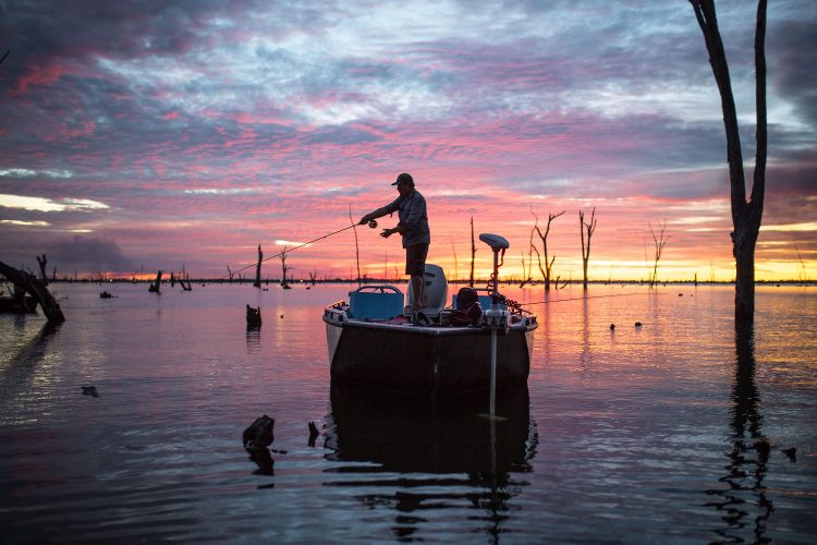 Lake Mulwala - cod heaven! 