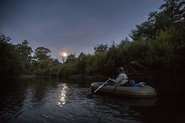 Cod are most active when the light is low. 