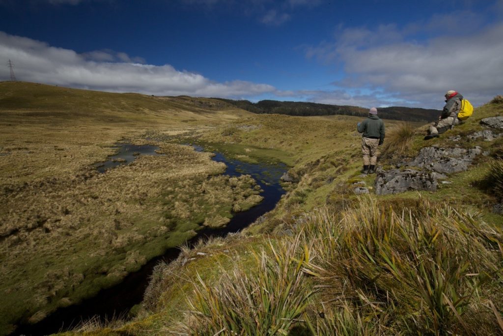 Tasmanian highland stream.