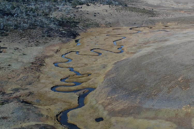The snake they call Nungar Creek
