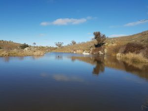 Pejar Wollondilly