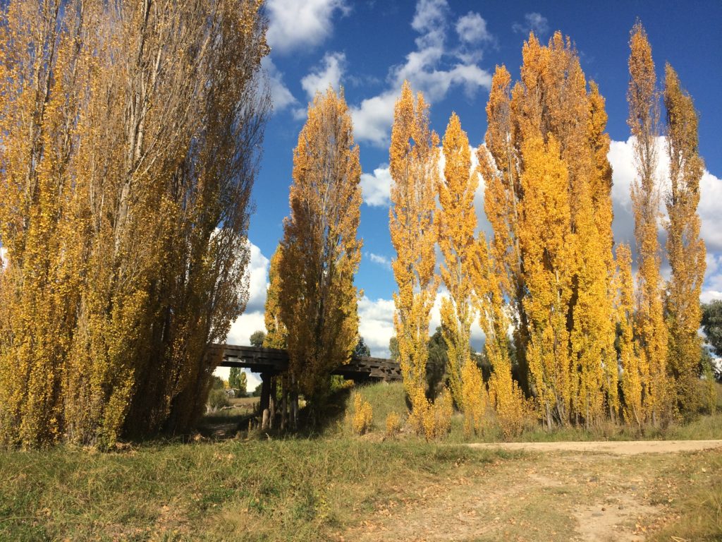 Beautiful scenery at Deepwater River.