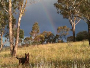 Rainbow over your shoulder