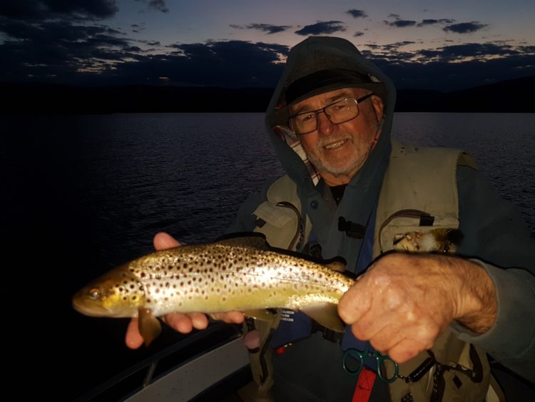 A small resident brown typical of the weekend's efforts