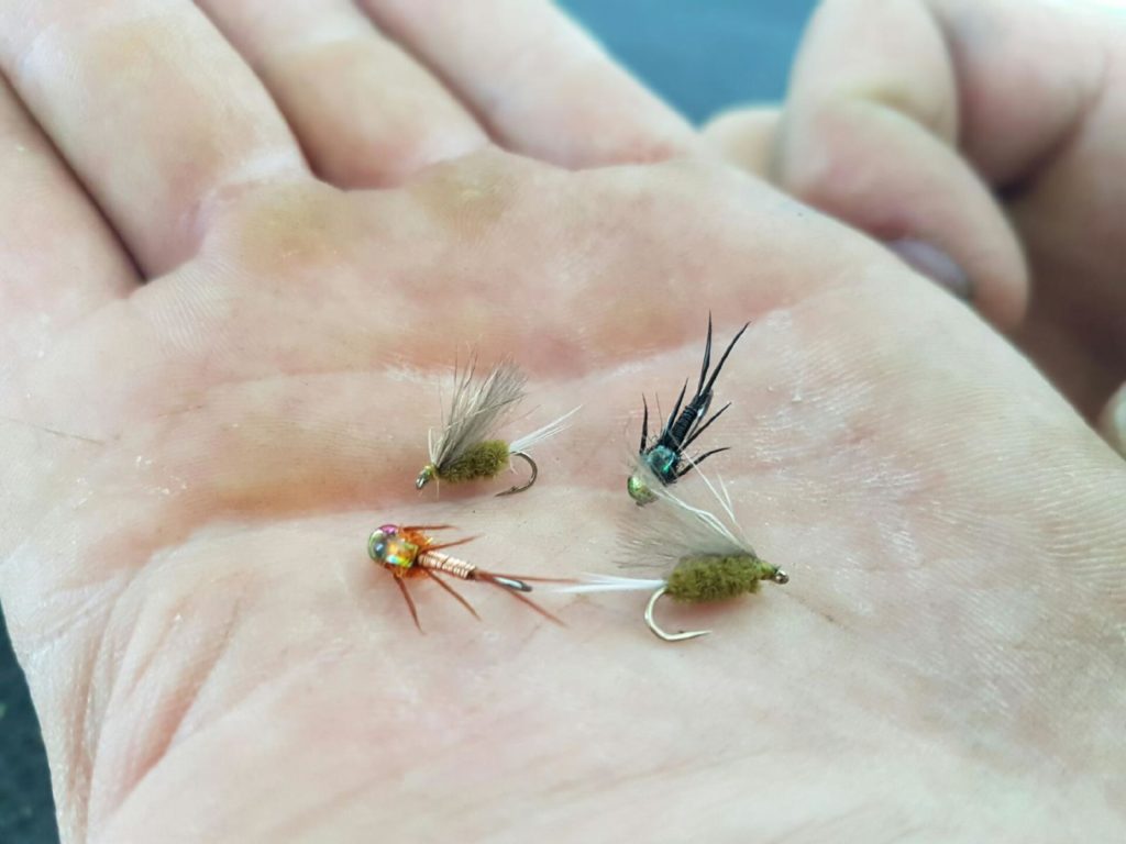Some effective Goulburn nymphs and emergers.