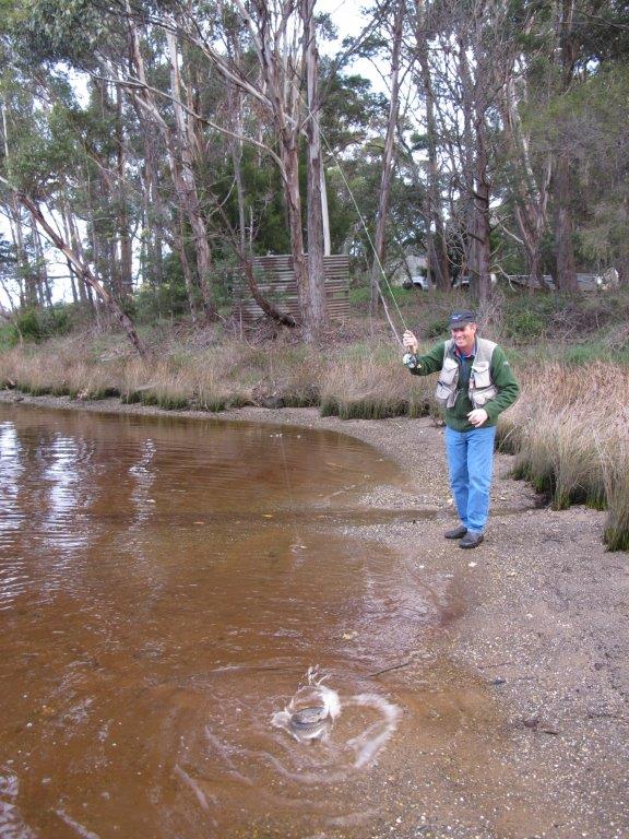 Early season sea trout on the Huon River.