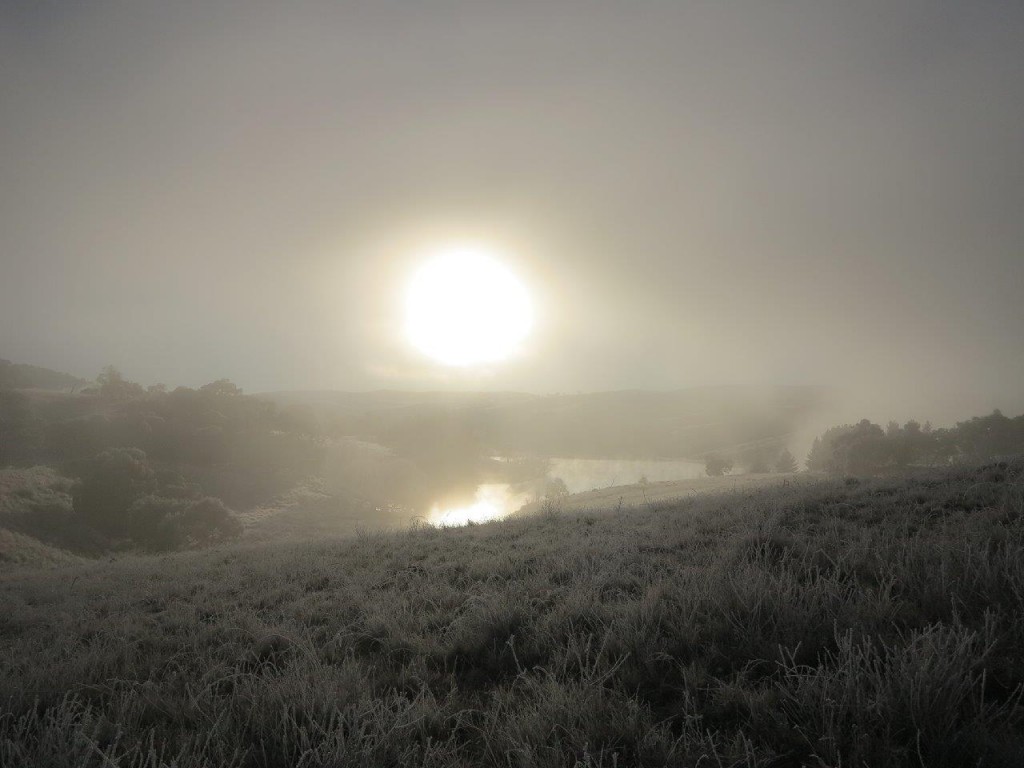 Dawns like this are one in a million