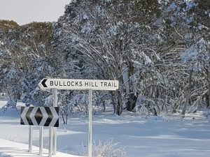 Snow Bullock Hill