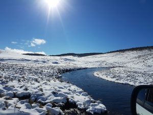 Snow Euc Kiandra 1