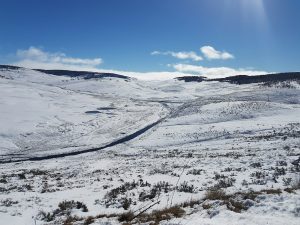 Snow Euc Kiandra tundra