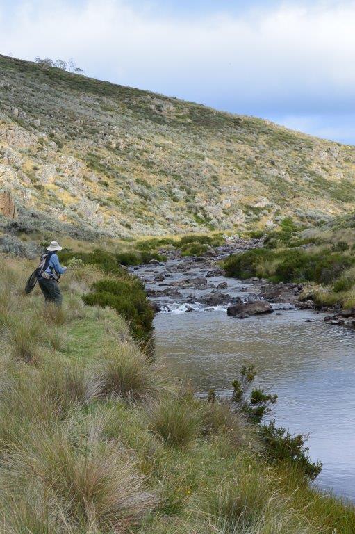 The Eucumbene River in January 2016...