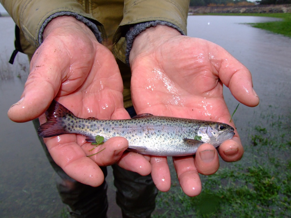 Finding fishing success beyond the reports