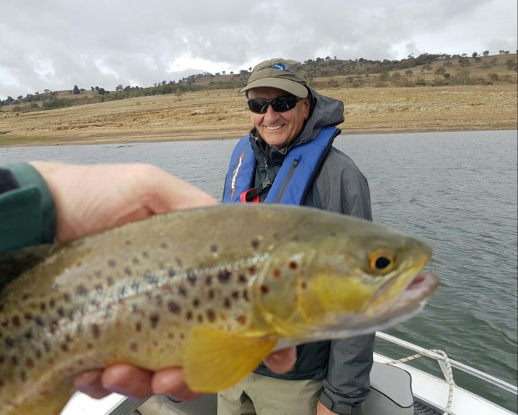 Beautiful spots and golden gill plates