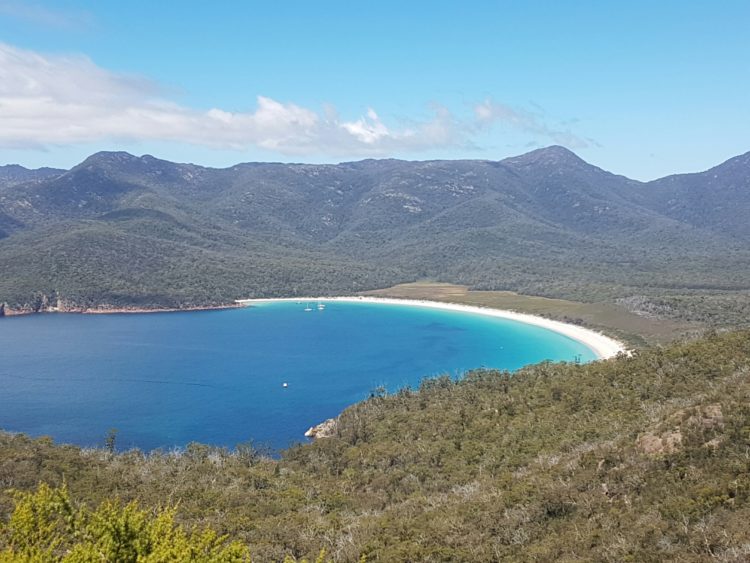 Wine Glass Bay - it's not all about the fishing