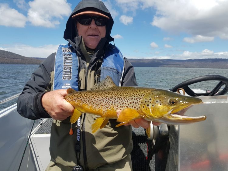 Woods Lagoon brown