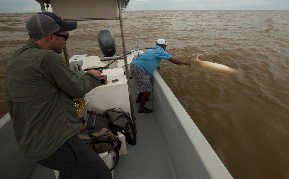 bigfish1