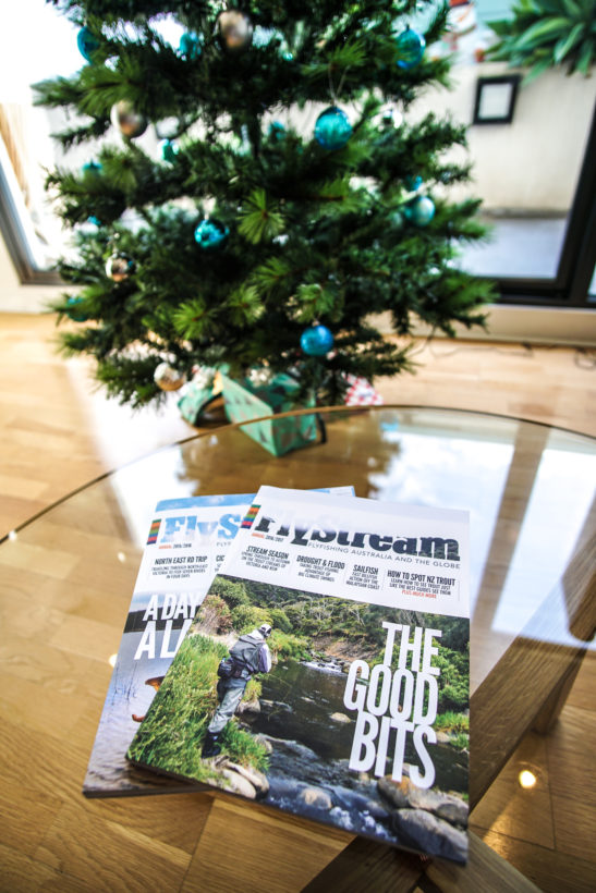 Make sure there's a copy under your tree this Christmas!