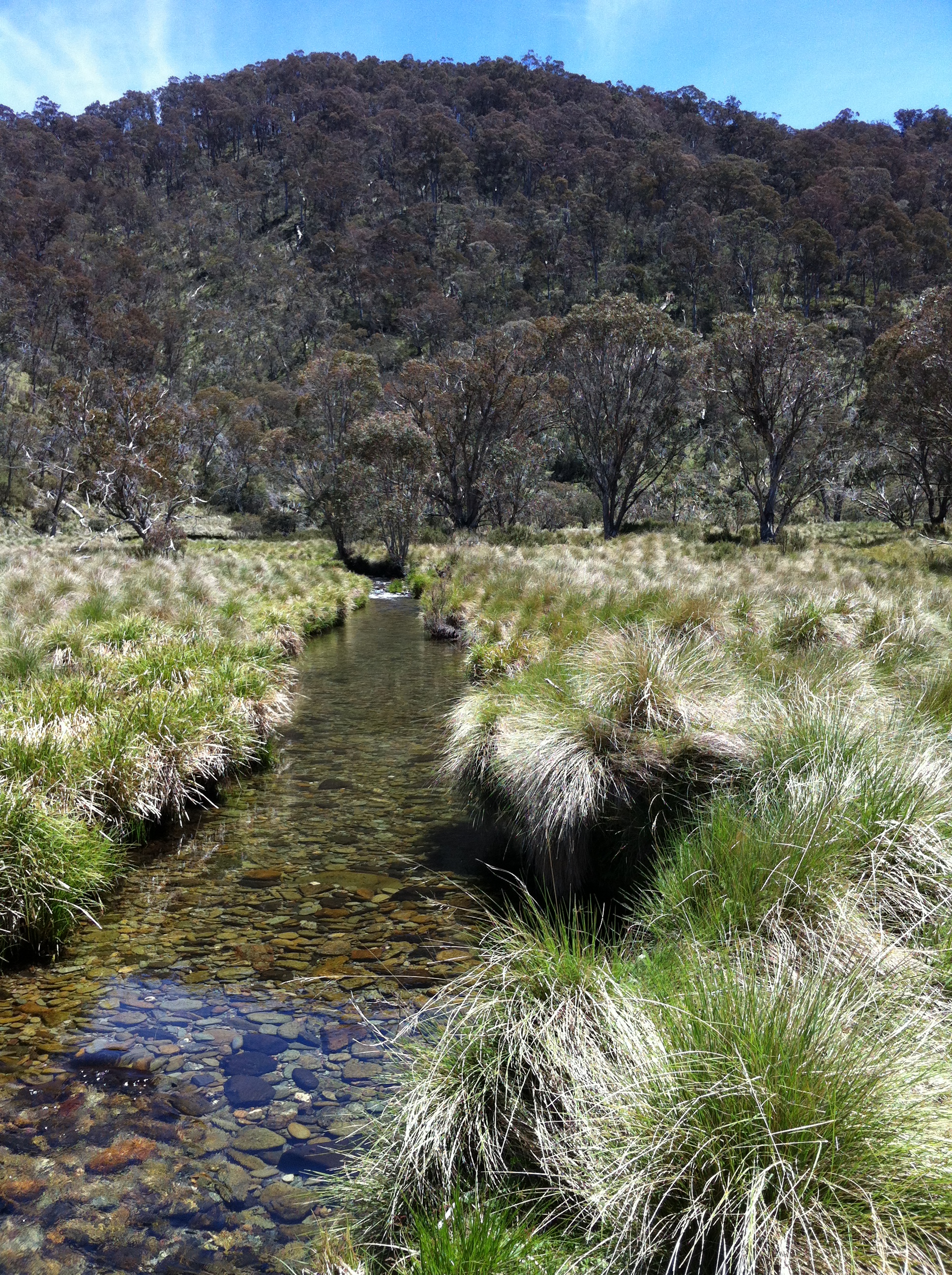 creek