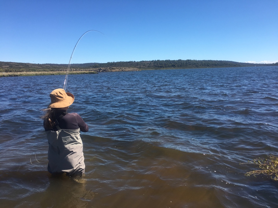 Contrary to popular belief, sunny skies didn't mean poor fishing at Little Pine - just a need to think a bit differently.