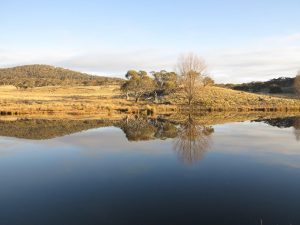 Lake reflection
