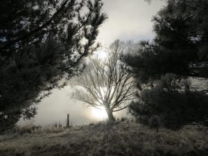 image5