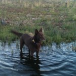 Lake levels are great