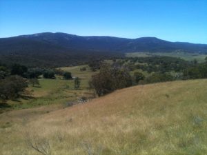 Murrumbidgee Valley