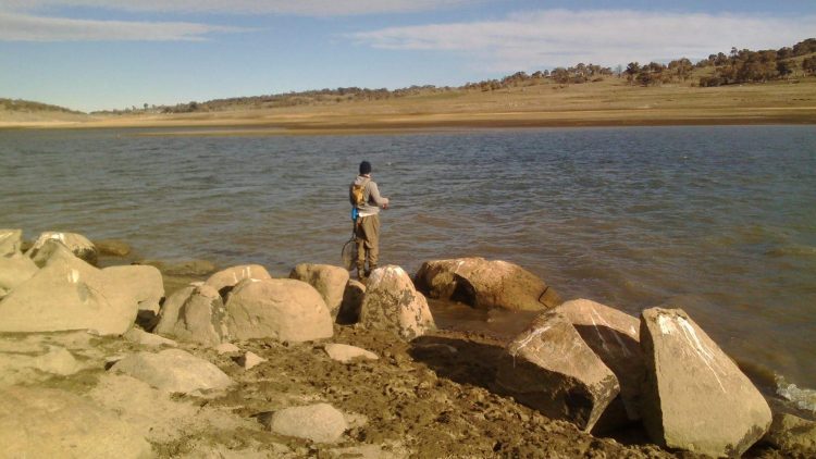 A perfect shore to find trout feeding on dislodged yabbies. 
