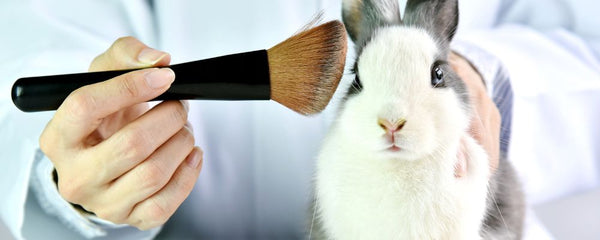 person holding rabbit, with a blush make up brush next to the rabbits cheek