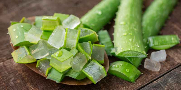 the smelly panda soap company diced up aloe vera pieces in a dish with aloe vera fingers on a table