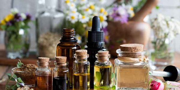 the smelly panda soap company essential oil bottles in the forefront of plant and flora material