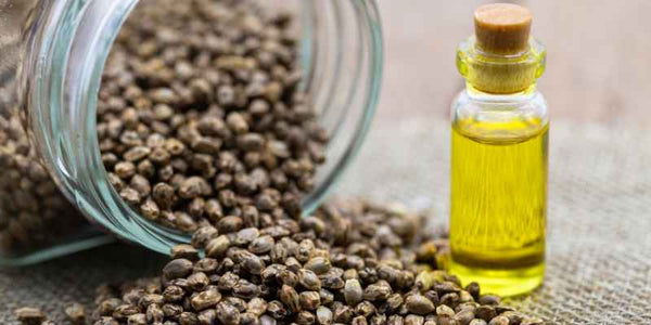 the smelly panda soap company jar of hemp seeds has fallen over with some scattered on a table top. Vile of hemp oil sits next to it.