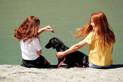 training puppy with treats