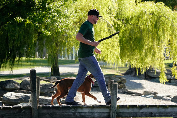 Man walking with stick ready to throw for the dog alongside