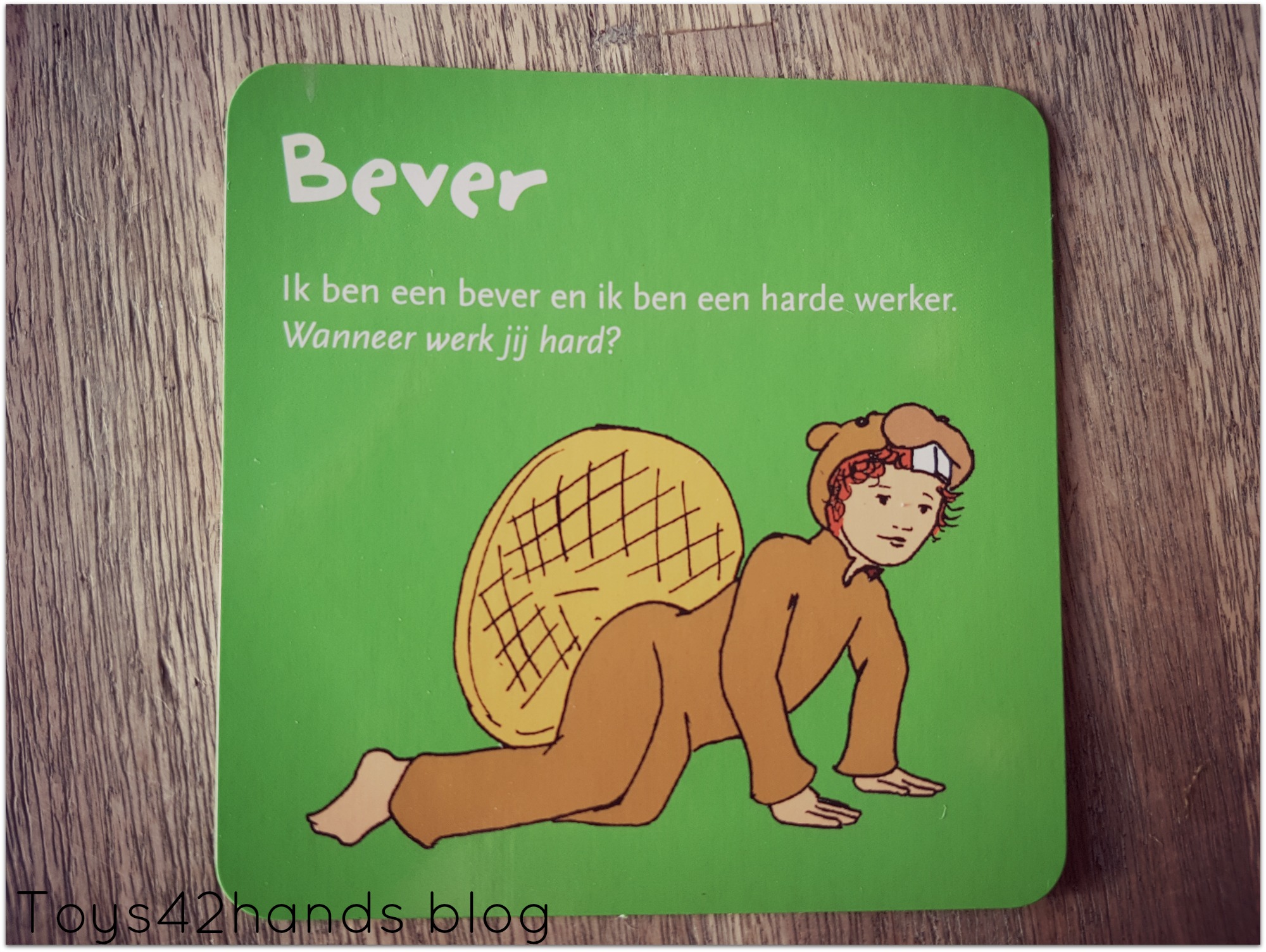 yogabeaver