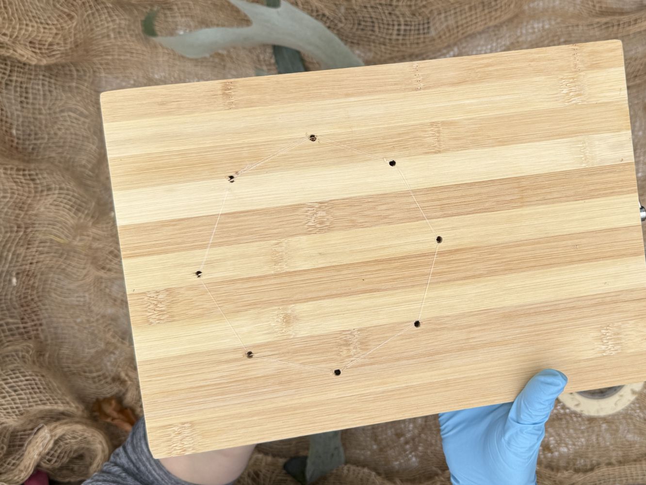 How to mount platycerium: The back side of the monting board after the mounting